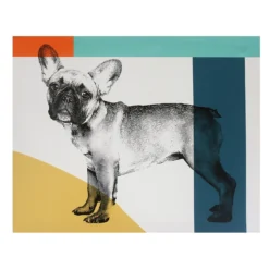 French Bull Dog Canvas